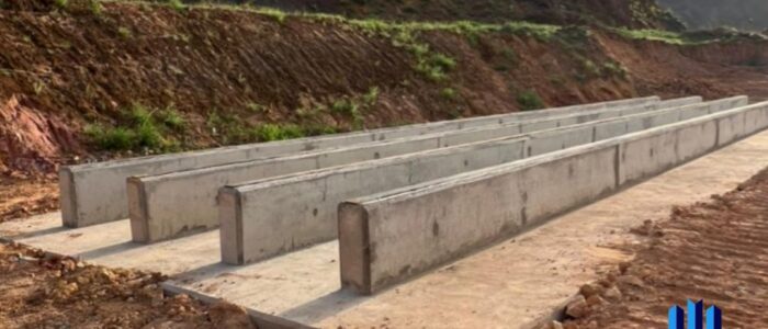 WhatsApp Image 2025-07-15 at 11.55.31